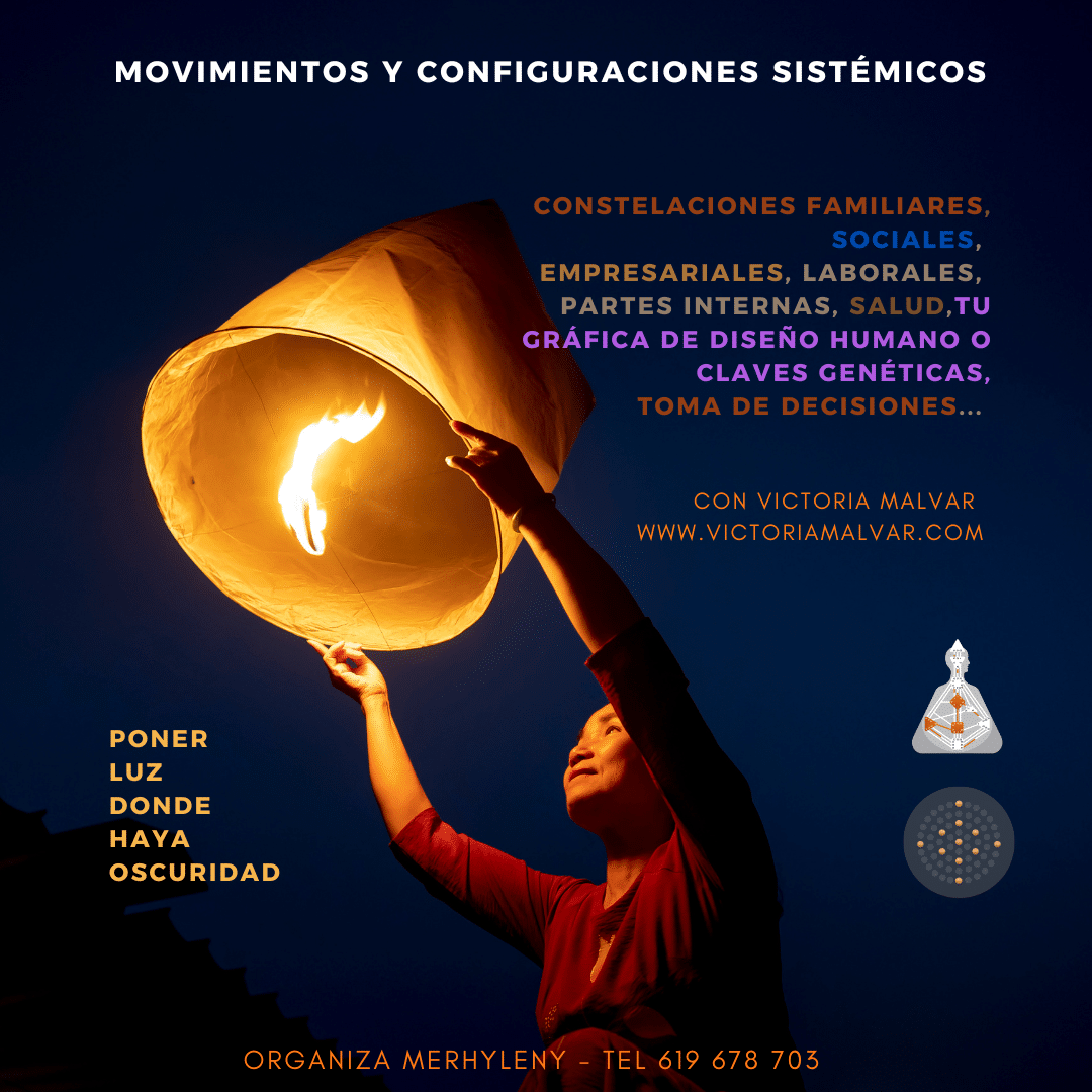 Visión Sistémica: constelaciones sociales, laborales, familiares